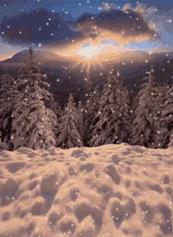 Winter Winter Is Coming GIF