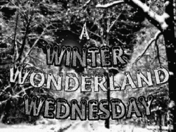Winter Wonderful Wednesday GIF