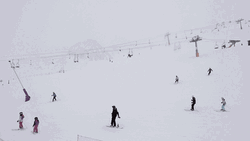 Winter Wonderland Skiing GIF
