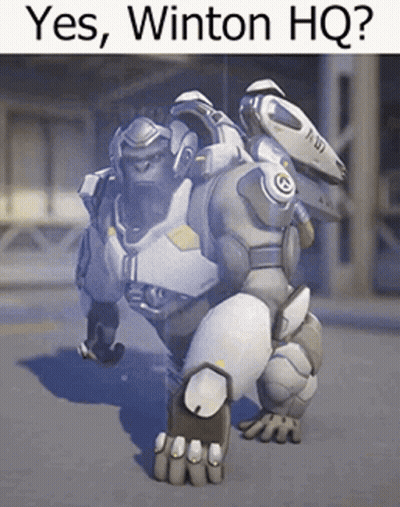 Winton Winston GIF
