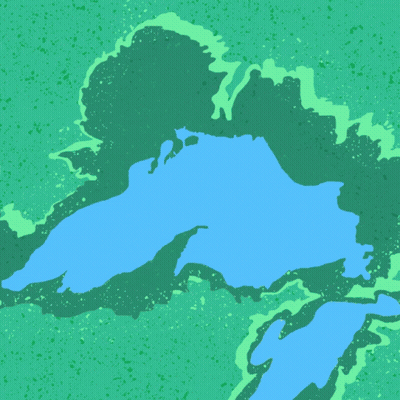 Wisconsin Voting Rights Poster Green Background GIF