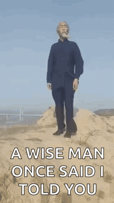 Wise Man Saying I Told You Standing On Rock GIF