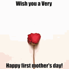 Wish You A Very Happy First Mothers Day