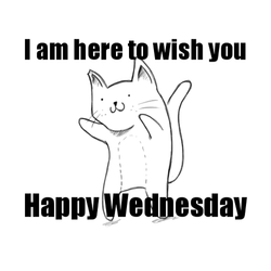 Wish You Happy Wednesday Morning Funny GIF