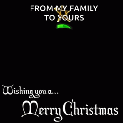 Wishing You A Merry Christmas Family GIF