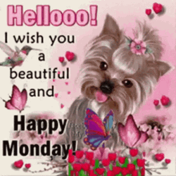 Wishing You Beautiful Monday Meme GIF