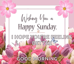 Wishing You Happy And Have A Great Sunday GIF