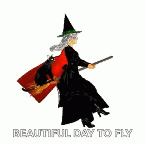 Witch Flying On Broom With Cat GIF
