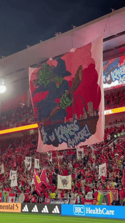 Witch On Broom Saying Kansas Anymore GIF