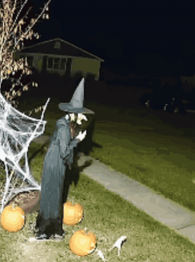 Witch Statue At House With Pumpkins And Spider Web GIF
