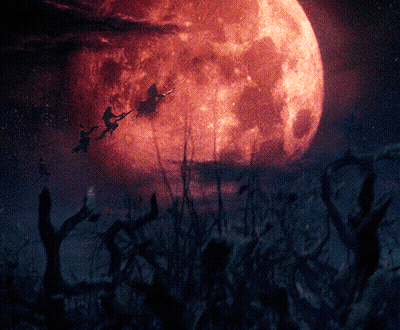 Witches Flying In Front Of Full Moon In Dark Forest GIF
