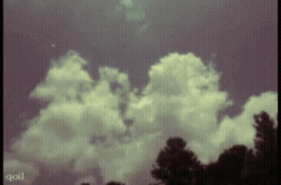 Witches In Pink On Dark Background GIF