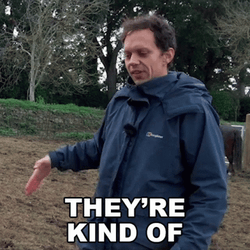 With Great Power Comes Great Responsibility Benjamin Engvid GIF