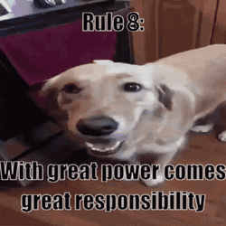 With Great Power Comes Great Responsibility Rule 3 GIF