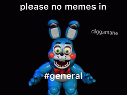 Withered Bonnie Please No Memes GIF