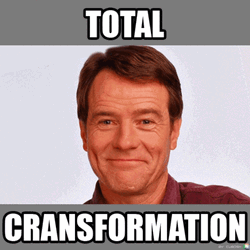 Witty Caption Meme Bryan Cranston GIF