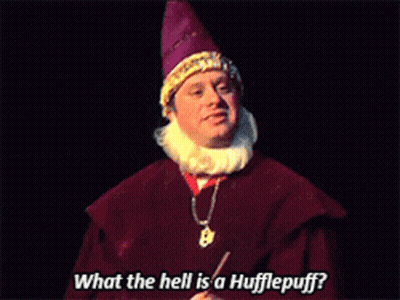 Wizard Asking What The Hell Is A Hufflepuff GIF