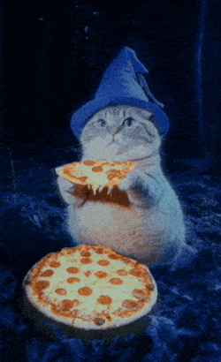 Wizard Cat Meme GIF