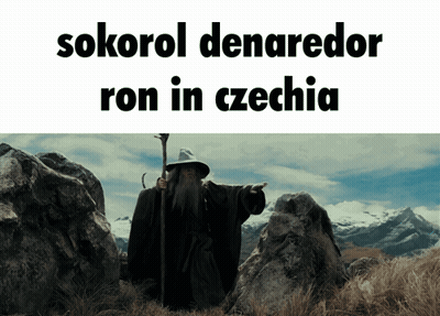 Wizard In Field Sokorol Denaredor Ron