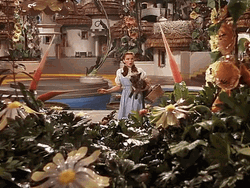 Wizard Of Oz Bewildered Dorothy Clueless GIF