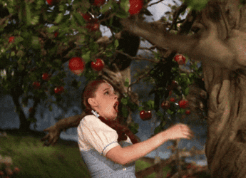 Wizard Of Oz Dorothy Fighting An Apple Tree GIF