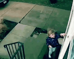 Wizard Of Oz Tornado CCTV  GIF