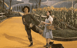 Wizard Of Oz Tornado Scarecrow GIF