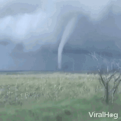 Wizard Of Oz Tornado Twister  GIF