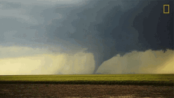 Wizard Of Oz Tornado Witch's Hat GIF