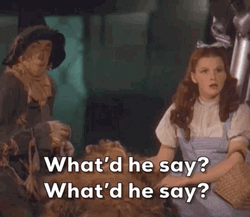 Wizard Of Oz What Did He Say Meme GIF