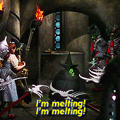 Wizard Of Oz Wicked Witch Melting GIF