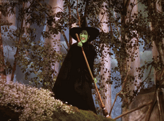 Wizard Of Oz Wicked Witch Vanishing Loop GIF