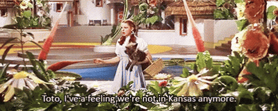 Wizard Of Oz Woman Holding Cat Saying Toto GIF