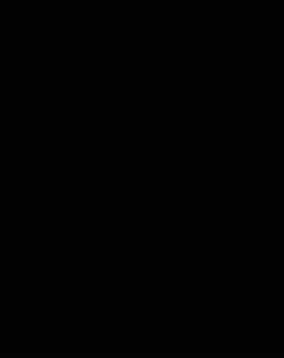 WLFC Logo With Flames GIF