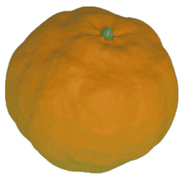 Wobbly Orange Jellygummies Animation GIF