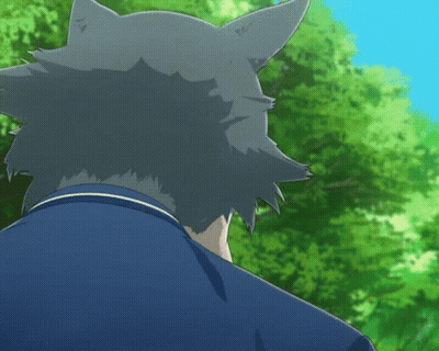 Wolf Face Close Up With Eyes Closed GIF