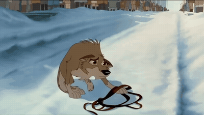 Wolf Holding Leash GIF