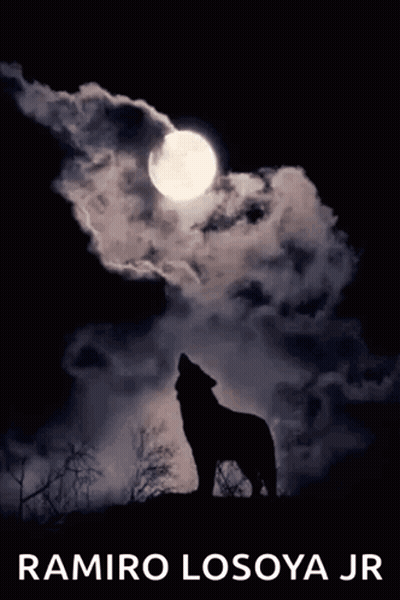 Wolf Howling At Full Moon GIF