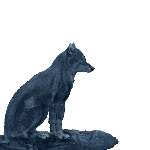Wolf Howling At Full Moon Red Text Sticker