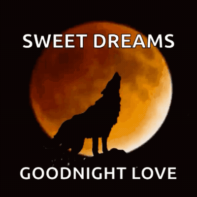 Wolf Howling At Full Moon Sweet Dreams Goodnight Love GIF
