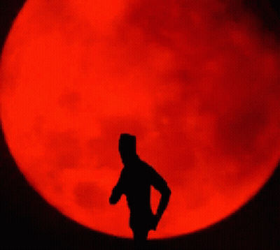 Wolf Howling At Full Red Moon With S. Ataturk Signature GIF