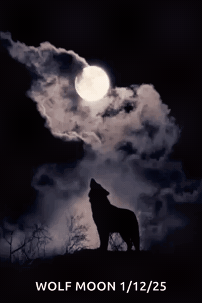 Wolf Howling At Moon Poster GIF