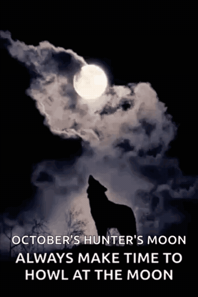 Wolf Howling At Moon Silhouette GIF