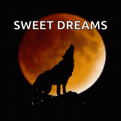 Wolf Howling At Moon Sweet Dreams GIF