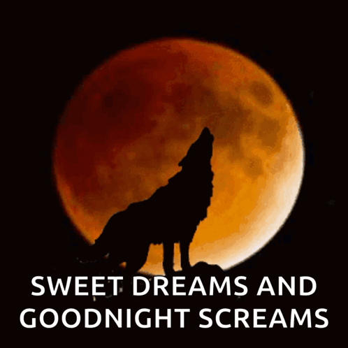 Wolf Howling At Moon With Sweet Dreams GIF