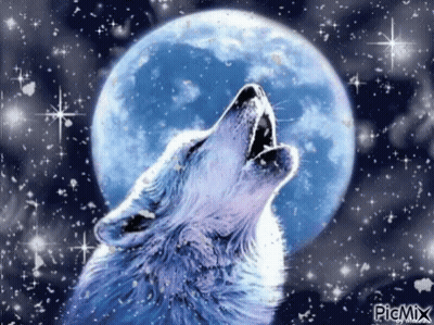 Wolf Howling At The Moon GIF