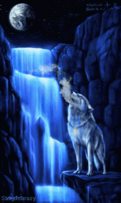 Wolf Howling At The Moon GIF