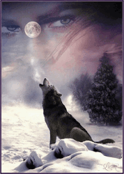 Wolf Howling Cool Animation Face In The Sky GIF