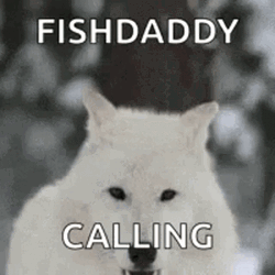 Wolf Howling Fish Daddy Calling GIF