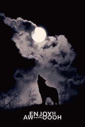 Wolf Howling In The Moon Enjoy GIF